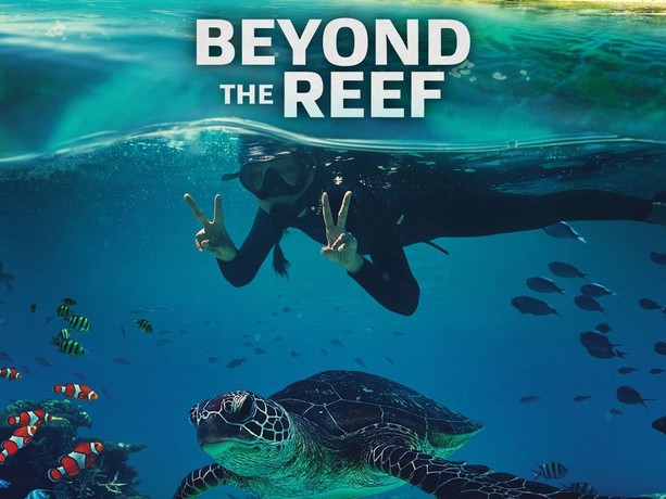 The Art of Theme and Design in Beyond The Reef Slot